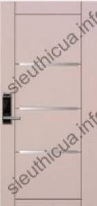 Cửa thép chống cháy 6