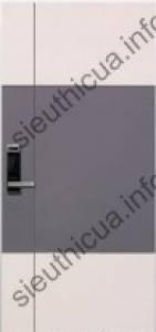 Cửa thép chống cháy 8